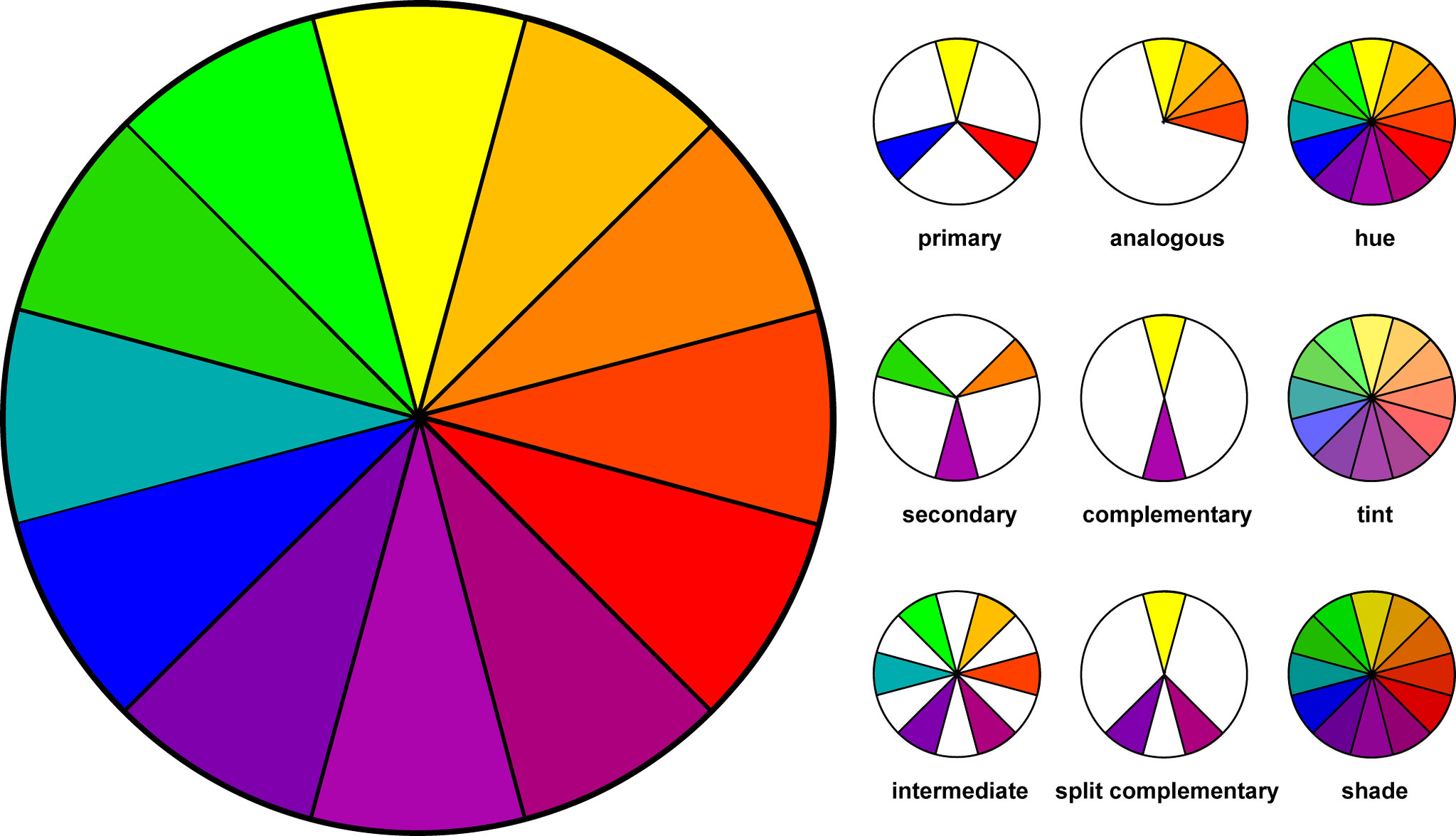 mens color wheel