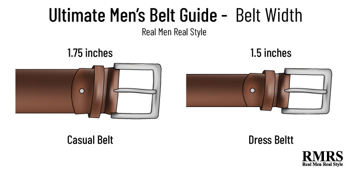 belt anatomy infographic 2