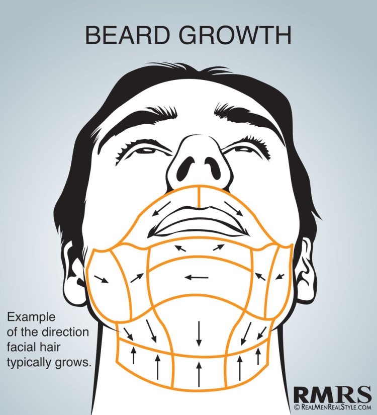 shave-map-beard-growth